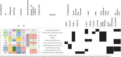 Corrigendum: Comparative genomics revealed fluoroquinolone resistance determinants and OmpF deletion in carbapenem-resistant Escherichia coli